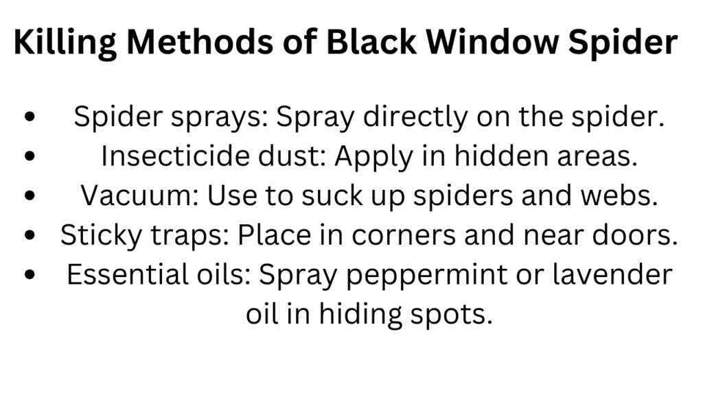 methods to get rid of black window spider